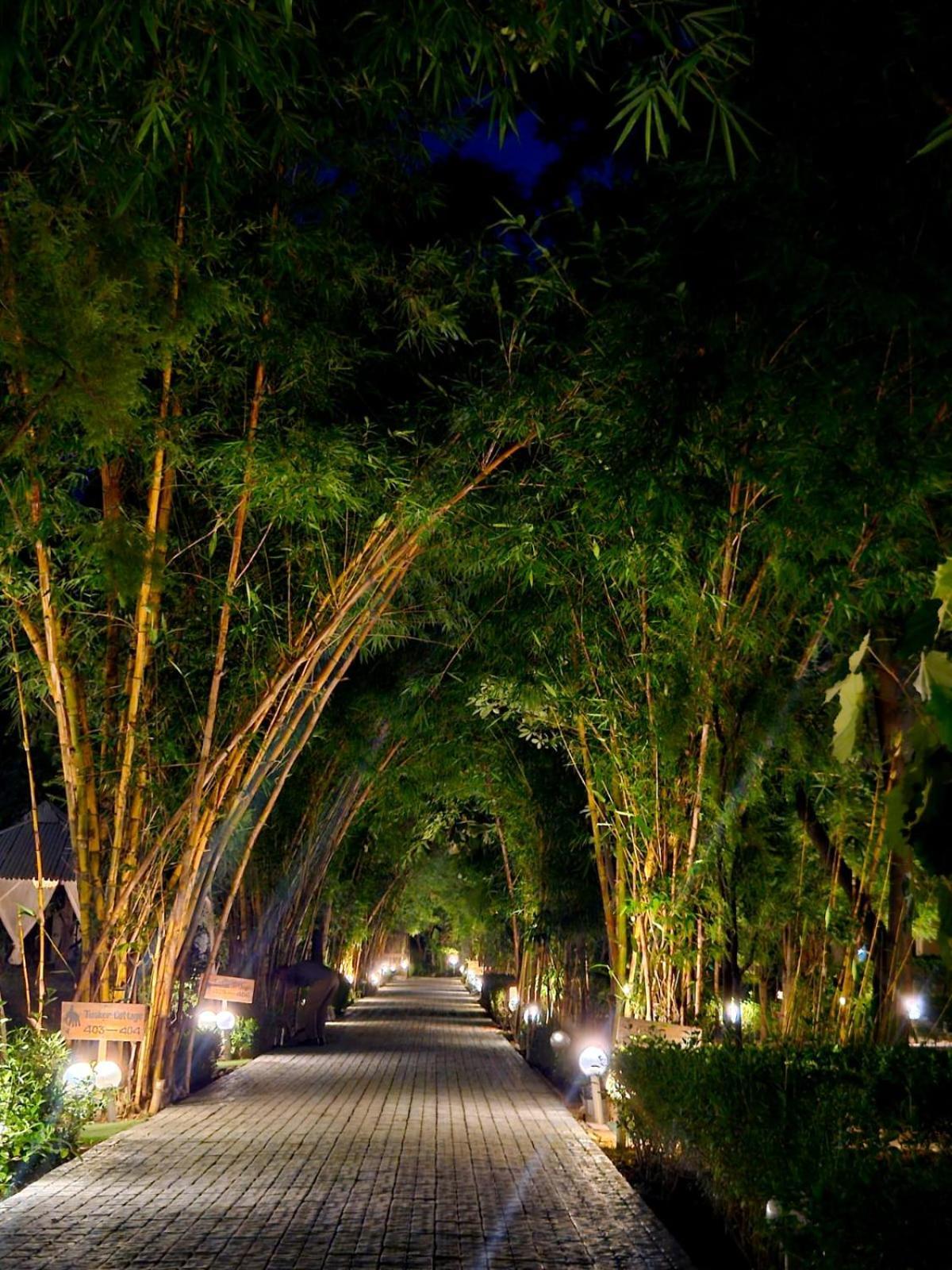 Corbett Tusker Trail Otel Kashipur Dış mekan fotoğraf